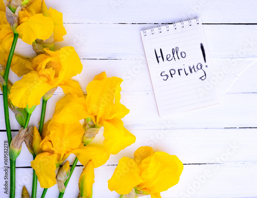 Fototapeta Naklejka Na Ścianę i Meble -  bouquet of yellow irises