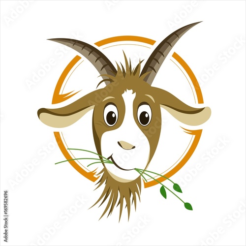 Cartoon goat - Illustration