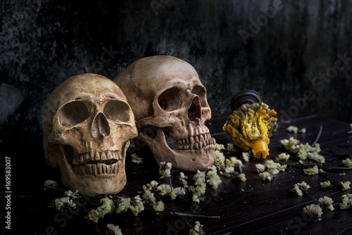 Twin human skull with candle Light, Still life style on abstract background