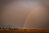 Beautiful rainbow over fields