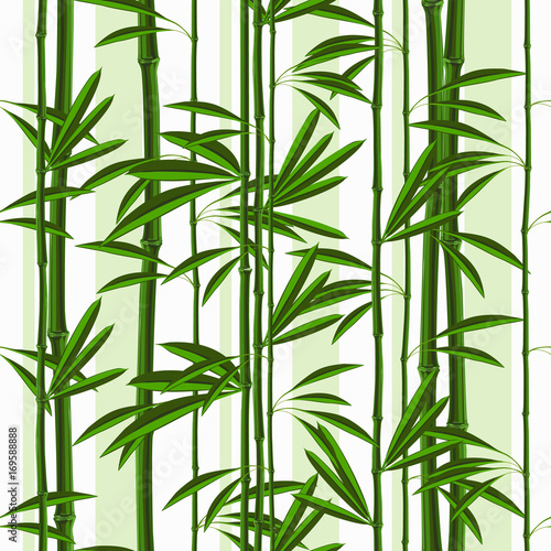 Fototapeta Naklejka Na Ścianę i Meble -  Seamless pattern with tropical plants bamboo and leaves. Vector Nature illustration