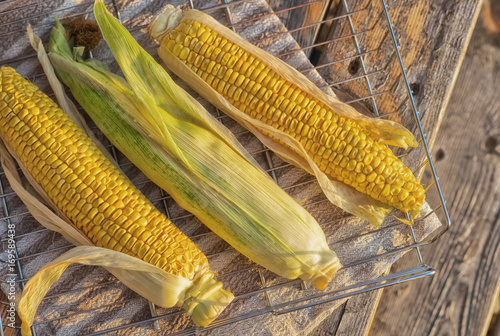 Ripe yellow corn cobs on grill basket