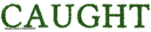 Caught - 3D rendering fresh Grass letters isolated on whhite background.