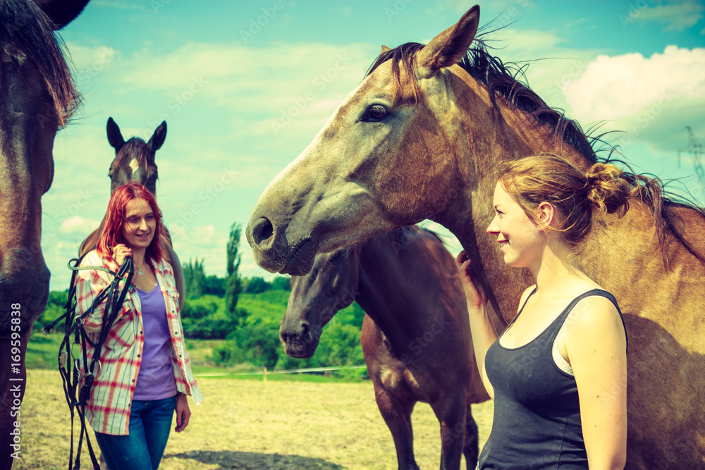 Obraz premium Two women relaxing with horses on meadow