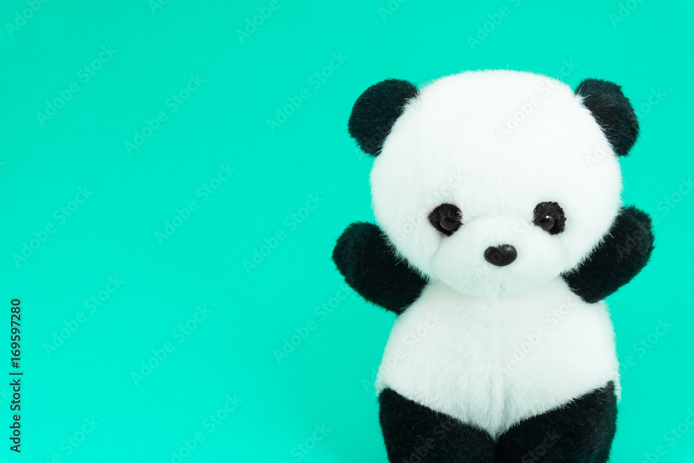 Panda doll black and white, black rim of eyes,panda toy for children on green background Panda doll black and white, black rim of eyes,panda toy for children on green background