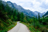 Forststraße durch das Karwendeltal