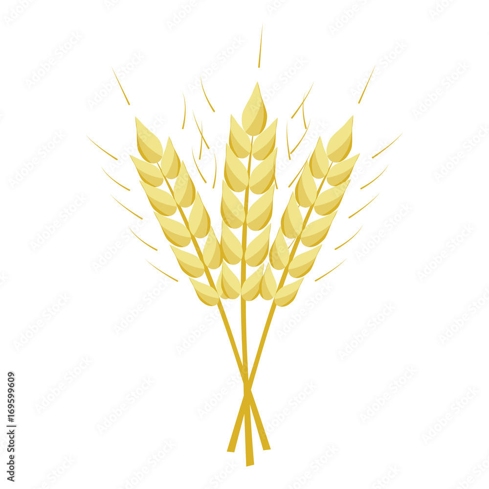 Ears of wheat. Ears of wheat.