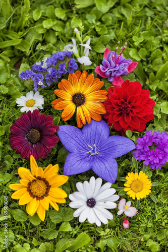 Group of assorted flowers on the grass.