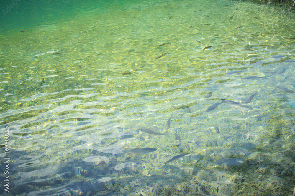 Fototapeta premium Plitvice lakes