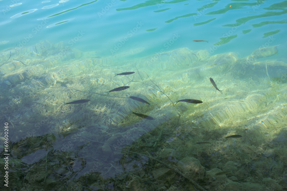 Fototapeta premium Plitvice lakes