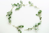 frame made of eucalyptus branches on white background. Flat lay, top view. copy space
