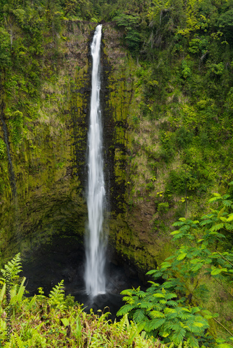 Akak Falls in the Tropical Rain Forest  Big Island  Hawaii