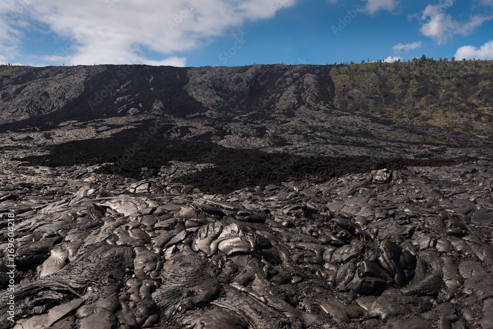 Field of Solidified Lava on Big Island, Hawaii