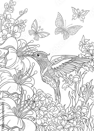 Coloring page of hummingbird, butterflies and hibiscus flowers. Freehand sketch drawing for adult antistress coloring book in zentangle style.