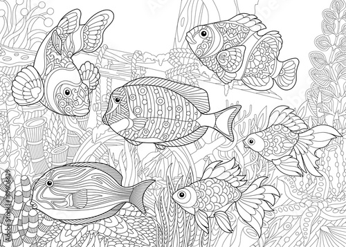 Coloring page of underwater world. Different fish species on the background of a sunken ship. Freehand sketch drawing for adult antistress coloring book in zentangle style.