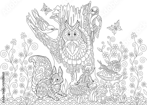 Fototapeta Naklejka Na Ścianę i Meble -  Coloring page of forest animals: owl, cuckoo bird, woodpecker, squirrel, snail, stag beetle, butterflies. Freehand sketch drawing for adult antistress coloring book in zentangle style.