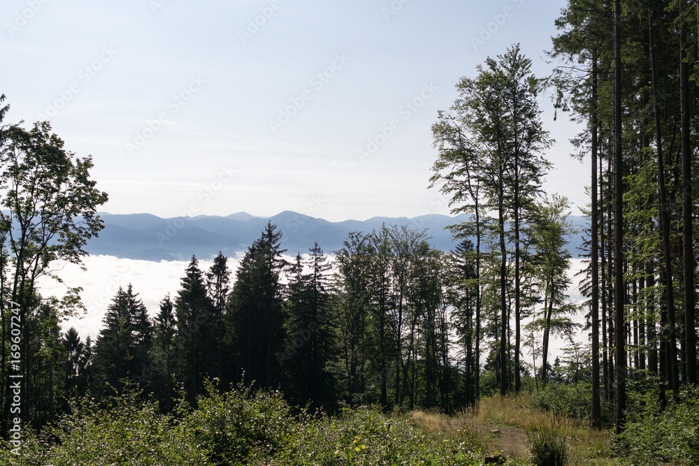 View from mountains with cloudy inversion below. Slovakia View from mountains with cloudy inversion below. Slovakia