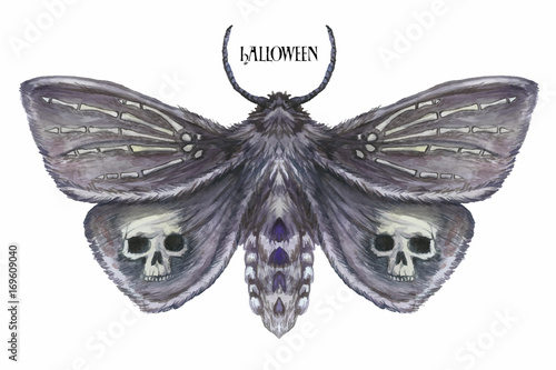 Watercolor drawing of a butterfly night butterfly, a terrible butterfly on a Halloween holiday with a skull on its wings and bones, a wrist of a skeleton, a furry butterfly on a white background