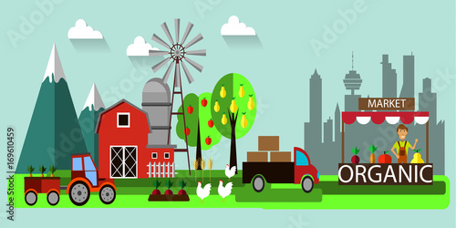 organic box delivery