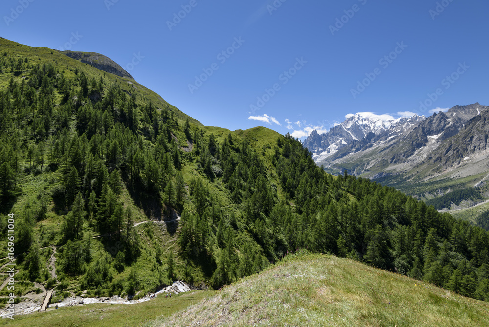 Fototapeta premium Mountain path overlooking Mont Blanc. Tour du Mont Blanc