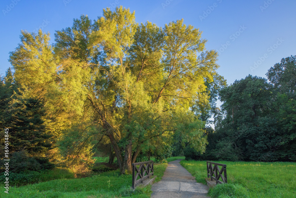 Naklejka premium Ideal walk in park