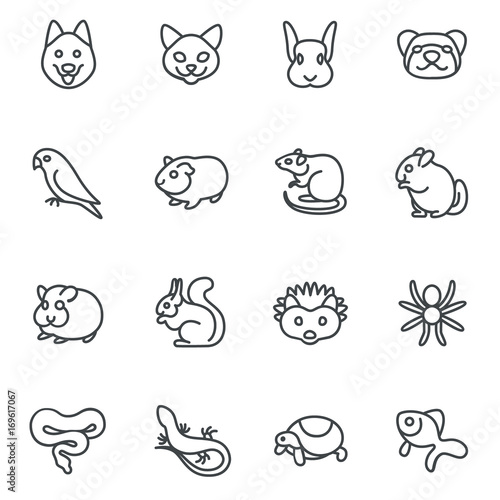 The most popular pets as line icons / There are typical pets like dog, cat, ferret and bird
