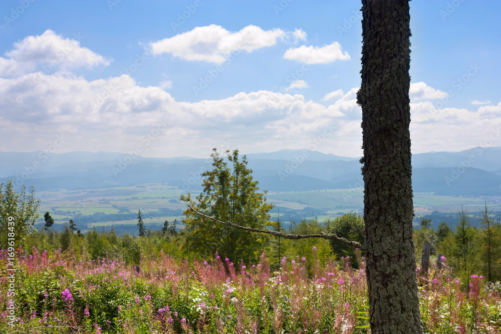 Summertime landscape with view of the Poprad River valley, mountains High Tatras, part of the Western Carpathians, Presov Region in the Slovakia Summertime landscape with view of the Poprad River valley, mountains High Tatras, part of the Western Carpathians, Presov Region in the Slovakia