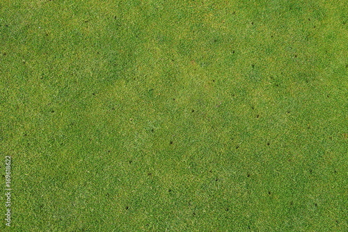 Aerated putting green on golf course - maintenance background photo