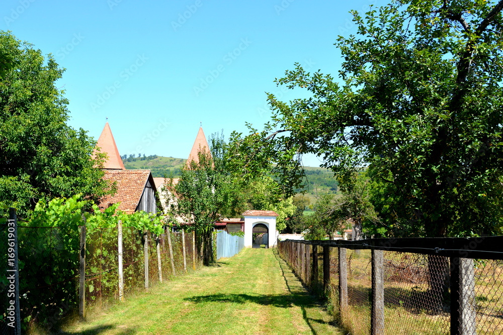 Typical rural landscape and peasant houses in the village Merghindeal ...