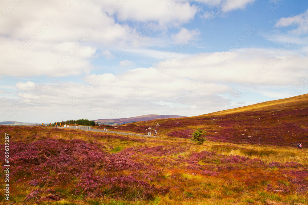 Beautiful scenic mountain landscape. Wicklow Mountains National Park, County Wicklow, Ireland Beautiful scenic mountain landscape. Wicklow Mountains National Park, County Wicklow, Ireland