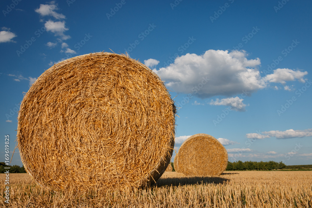 Straw bales on a stubble field on a sunny afternoon in summer Straw bales on a stubble field on a sunny afternoon in summer