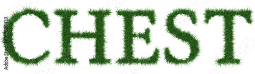 Chest - 3D rendering fresh Grass letters isolated on whhite background.