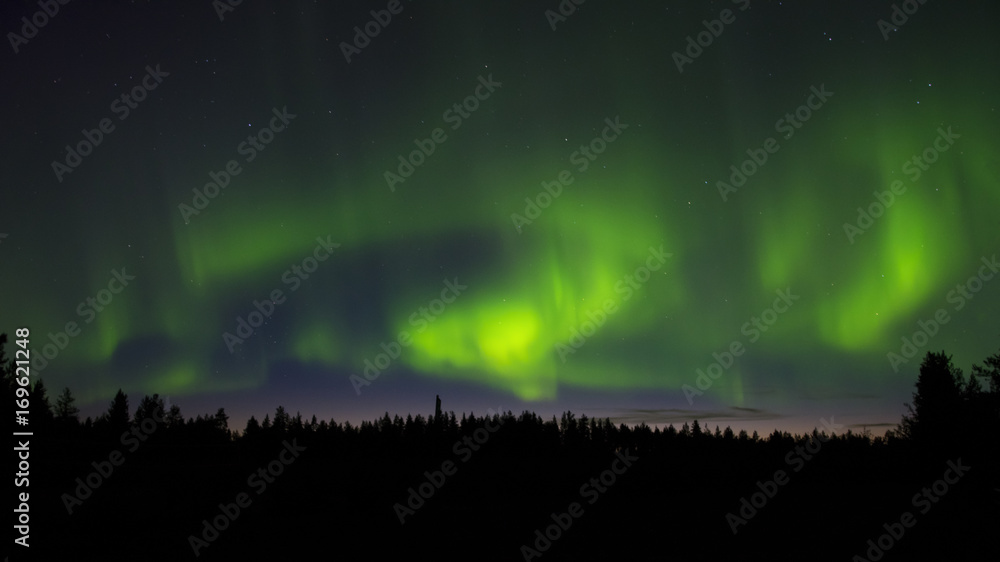 auroras in sunset