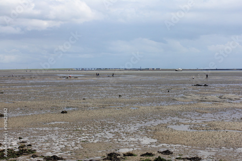 Wadden Sea © hadot