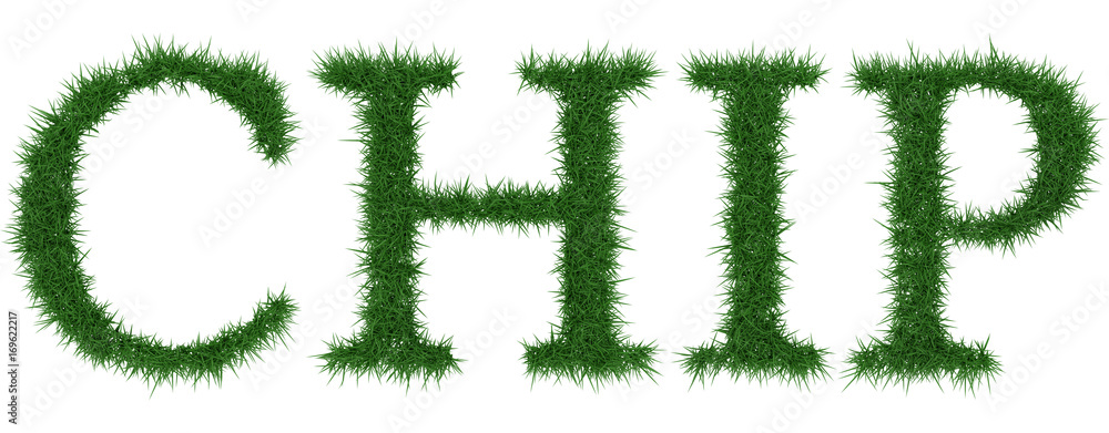 Chip - 3D rendering fresh Grass letters isolated on whhite background. Chip - 3D rendering fresh Grass letters isolated on whhite background.