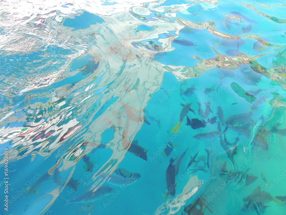 Fototapeta premium Agua de mar