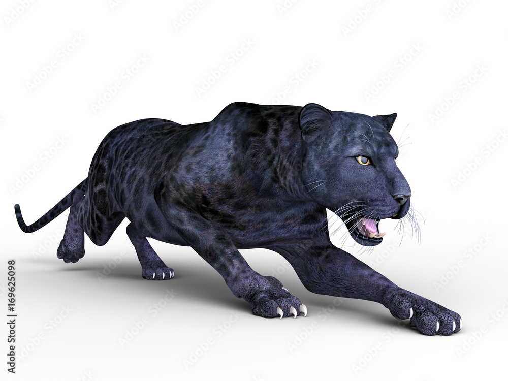 黒ヒョウ Stock イラスト Adobe Stock