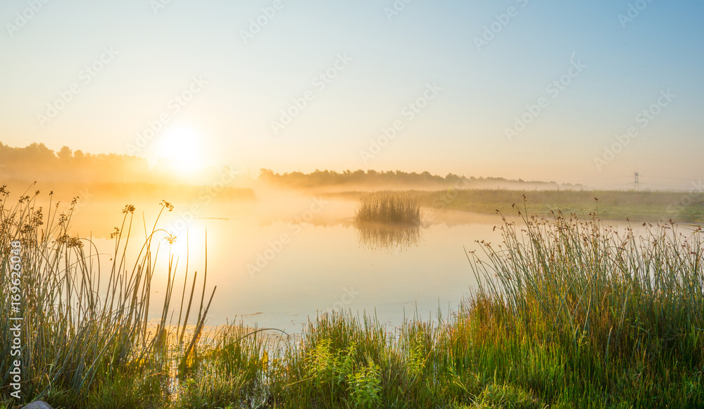 Naklejka premium Shore of a misty lake at sunrise in summer