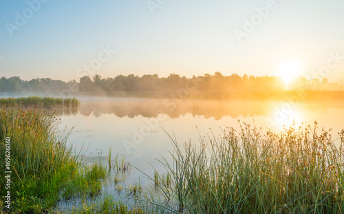 Fototapeta Naklejka Na Ścianę i Meble -  Shore of a misty lake at sunrise in summer