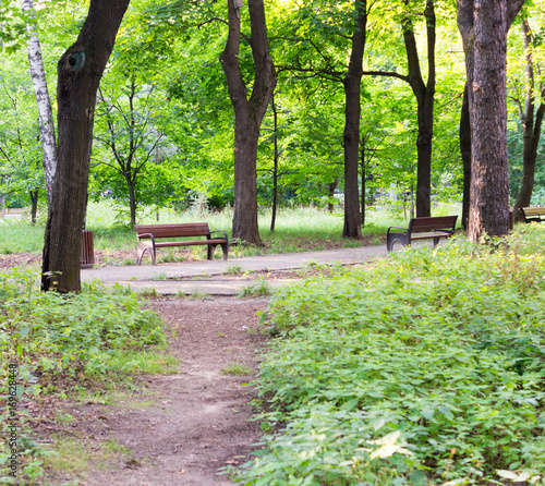 path with bench in a quiet summer park. background  nature.