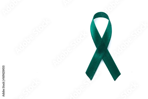 green teal bow ribbon on white background. Mitochondrial diseases and kidney cancer concept