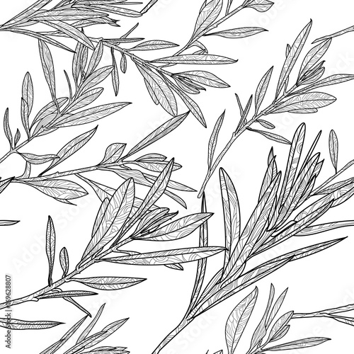 Vector autumn leaves seamless pattern. Black and white background with outlin...