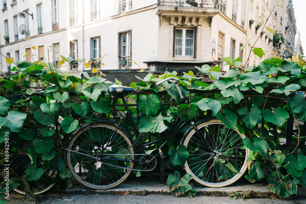 Black bike with leaves on railing in France