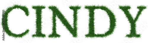 Cindy - 3D rendering fresh Grass letters isolated on whhite background. photo