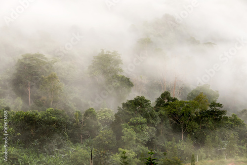 Mountain and mist © sompong