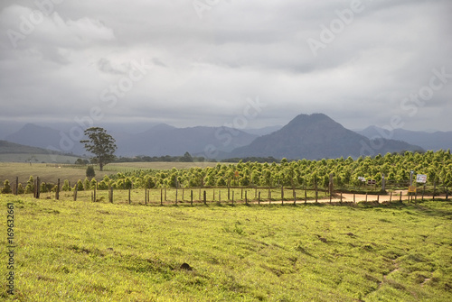 Photos Paisagem rural (paisagem) | Rural landscape fotografado em Guarapari, Espírito Santo -  Sudeste do Brasil