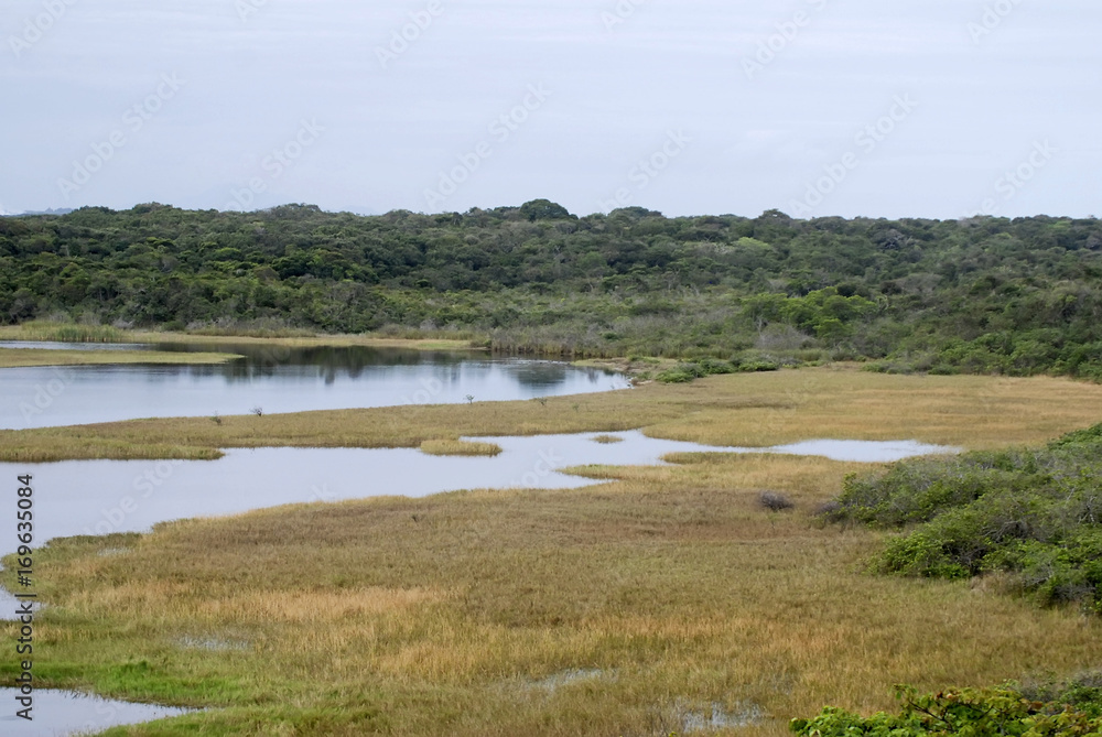 Lagoa de Caraís (Paisagem) | Lagoon of Caraís fotografado em Guarapari, Espírito Santo -  Sudeste do Brasil. Bioma Mata Atlântica.