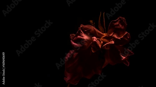 Emotional Flowers