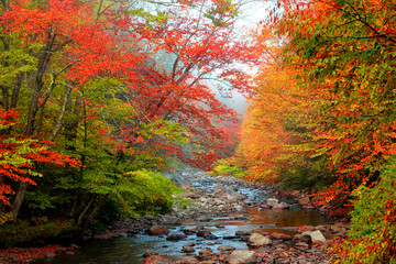 Water stream in rural Vermont