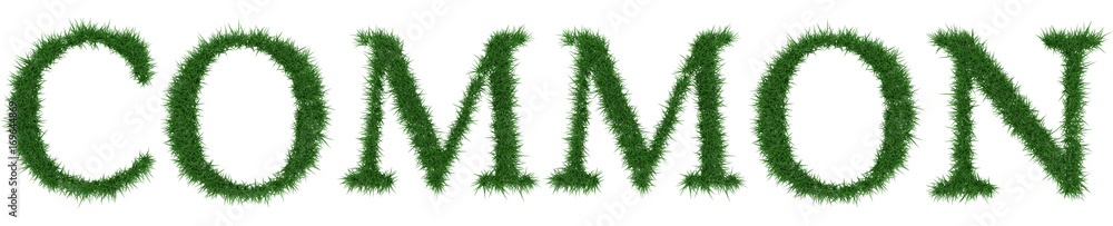 Common - 3D rendering fresh Grass letters isolated on whhite background. Common - 3D rendering fresh Grass letters isolated on whhite background.